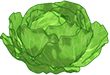 webkinz art of a head of cabbage