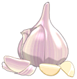 webkinz art of a head of garlic with a few cloves next to it